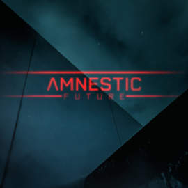 AMNESTIC Future