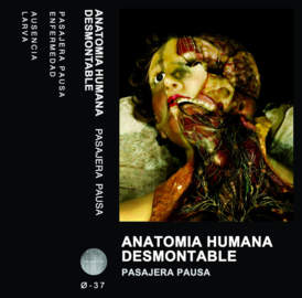 ANATOMIA HUMANA DESMONTABLE Pasajera Pausa EP