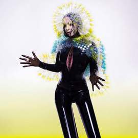 BJÖRK Vulnicura