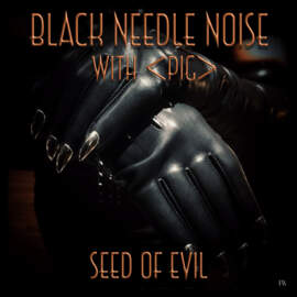 BLACK NEEDLE NOISE