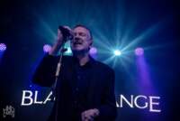 BLANCMANGE - W-fest Oostende