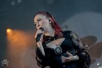 BLUTENGEL - Amphi