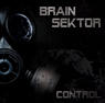 BRAIN SEKTOR Control