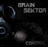 BRAIN SEKTOR