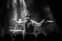 CHAMELEONS - Coesfeld Fabrik