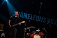 CHAMELEONS VOX - W-Fest Amougies