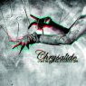 CHRYSALIDE Don't Be Scared, It's About Life
