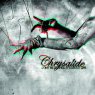 CHRYSALIDE