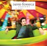 DAVID FONSECA Seasons Rising