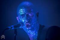 DEER DEAR - Liège New Wave Festival