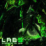 LABORATORY 5