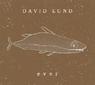DAVID LUND Ever
