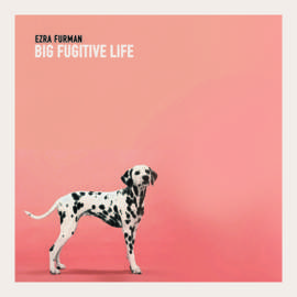 EZRA FURMAN Big Fugitive Life