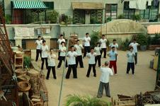 06/02/2014 : HERMAN YAU - IP MAN - FINAL FIGHT 06/02/2014 : HERMAN YAU - IP MAN - FINAL FIGHT