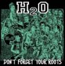 H2O Don't forget your roots