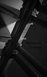 HIDDEN IN TREETOPS - Lost