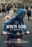 22/10/2014 : KORNEL MUNDRUCZO - White God (FilmFest Ghent 2014)