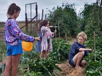 24/10/2014 : ALICE ROHRWACHER - Le Meraviglie (FilmFest Ghent 2014) 24/10/2014 : ALICE ROHRWACHER - Le Meraviglie (FilmFest Ghent 2014)