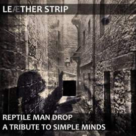 LEAETHER STRIP