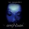 LISA MORGENSTERN Amphibian