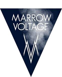06/04/2022 : MARROWVOLTAGE - There is always a strong, dominating motif behind any of our songs. A feeling, a powerful association. For example, the gravitational force of an abyss underneath you. The movement of mighty and elegant creatures in the