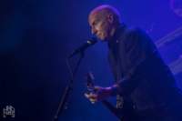 MIDGE URE - Amphi