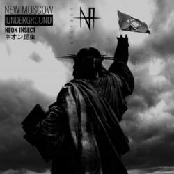 12/10/2019 : NEON INSECT - A Conversation With Neon Insect