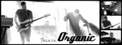 ORGANIC - When we’re composing, it's all happening in a natural way.