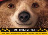 NEWS: Paddington released in both DVD and Blu-ray on Belga