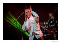 PETER MURPHY - 