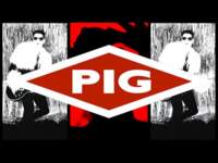 PIG