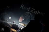 RED ZEBRA - De Lux Herenthout