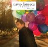 DAVID FONSECA Seasons: falling