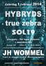 SOL 19 , TRUE ZEBRA , HYBRYDS Antwerpen, JH Wommel (1/02/2014)