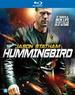 25/11/2013 : STEVEN KNIGHT - Hummingbird