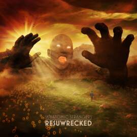 SUBATOMIC STRANGERS Resuwrecked