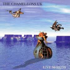 THE CHAMELEONS - Live Shreds