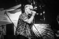 THE SNAKE CORPS - Live am See Meschede