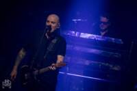 THE STRANGLERS - Depot Leuven