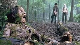 02/10/2014 : - THE WALKING DEAD SEASON 4 02/10/2014 : - THE WALKING DEAD SEASON 4