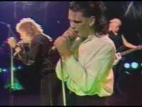 VIRGIN PRUNES