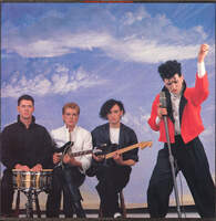 VIRGIN PRUNES - Dublin, Ireland