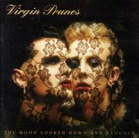 VIRGIN PRUNES - Dublin, Ireland