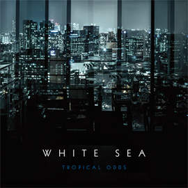 WHITE SEA Tropical Odds