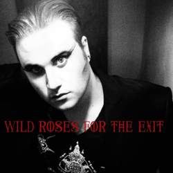24/06/2016 : WILD ROSES FOR THE EXIT - I really want the experimental side to take over eventually but I do love the beauty of a classic pop song.