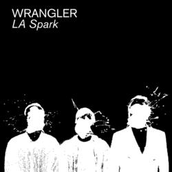 25/06/2014 : WRANGLER - I wonder if I would choose to actually make music if I was starting today. The capacity to be creative has been democratised in all forms.