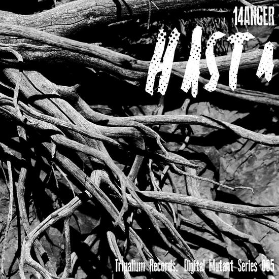 29/04/2015 : 14ANGER - Hasta EP