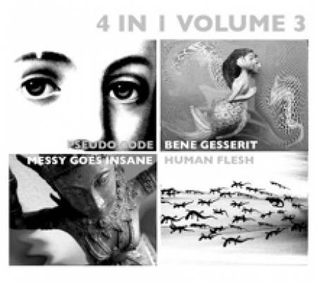 28/03/2013 : VARIOUS ARTISTS - 4 in 1 volume 3