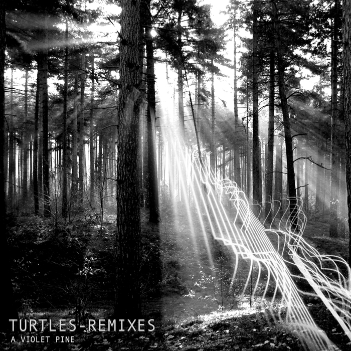 09/12/2016 : A VIOLET PINE - Turtles remixes