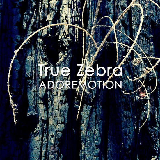 09/11/2014 : TRUE ZEBRA - Adoremotion